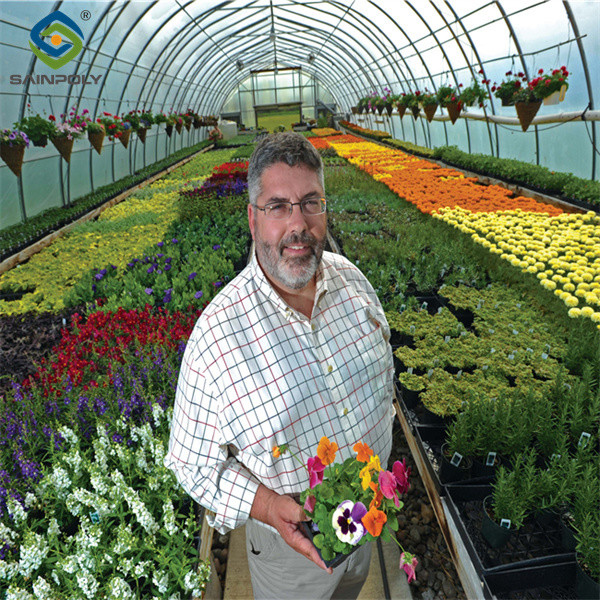 Uv Protection Transparent Flower Garden Greenhouse Easy To Assemble
