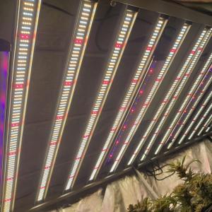 L'horticulture LED de RedFarm 1500W élèvent Samsung léger LM301H Osram 660nm