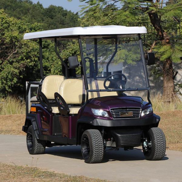 4+2 Person Luxury Electric Golf Cart Featuring Intelligent Onboard Charger