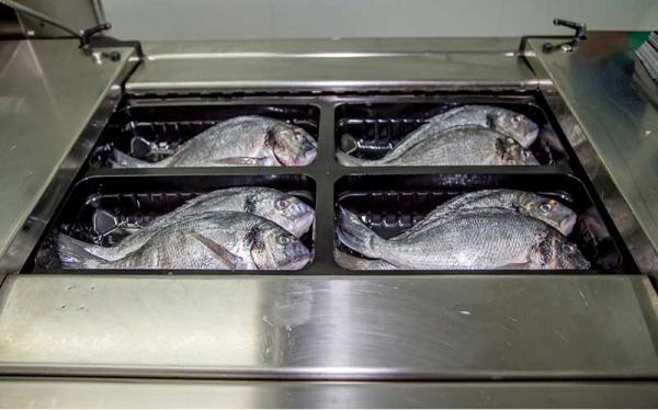 Live Fish MAP Plastic Box Food Tray Sealing Machines User Friendly
