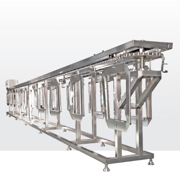 Conveying Machine for Forming Box/Bean Curd Processing State-of-the-Art Technology