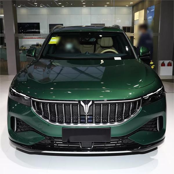 4905*1950*1645 Electric Energy Vehicles Suv Voyah Free 5seats And 4 Electric Vehicles Car With Made In 255/45 R20 2023
