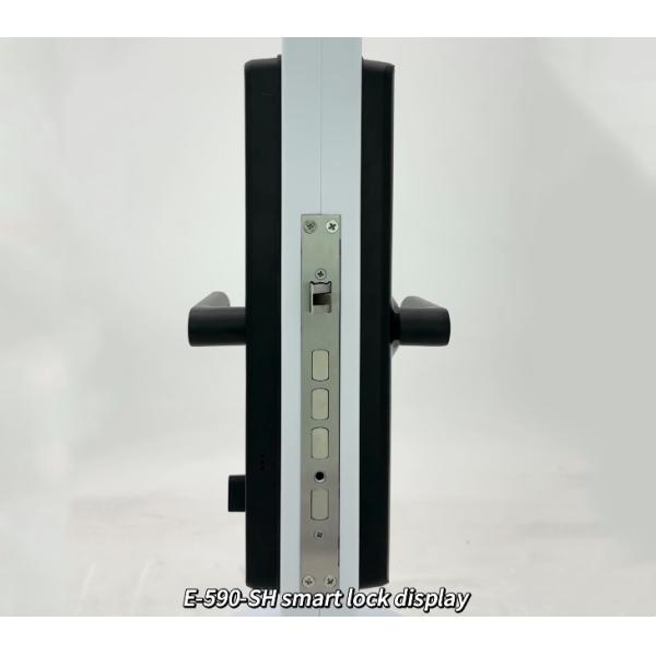 ELA Waterproof Outdoor Anti Theft Electronics Push Lock Smart Fingerprint Digital Safe Door Lock For Home Smart DoorLock