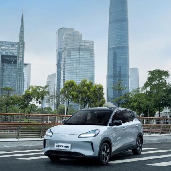 Véhicule électrique Wuling Binguo EV 5 portes 4 sièges 2024 Nouveau véhicule électrique à énergie explosive rentable