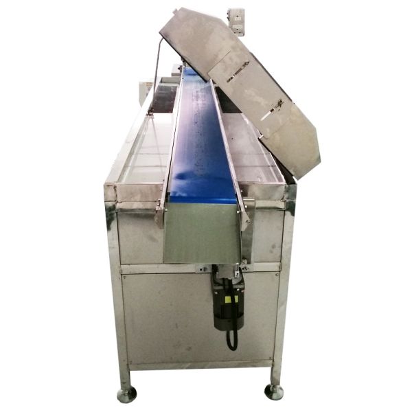 PE8 Stainless Steel 304 Chocolate Enrobing Machine 220V Single Phase 8kg