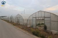 Arched Temperature Control Tunnel Green Houses With Outside Shading System