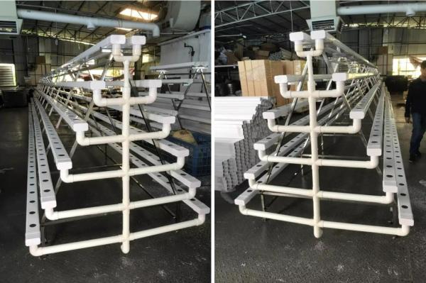 CO2 Control Seedling Hydroponic System Tray For Microgreen Growing