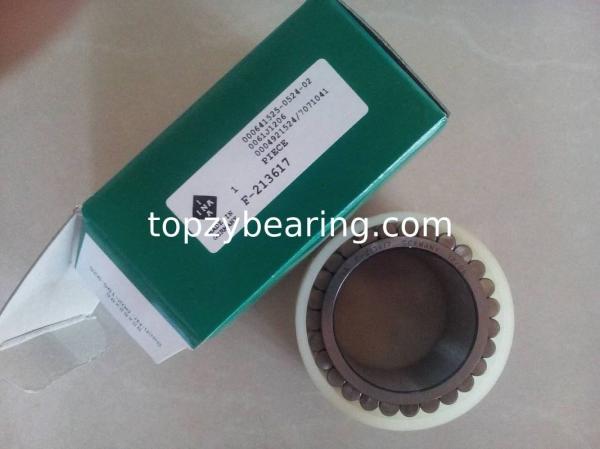 F208098 Full Complement Bearing Cylindrical Roller Bearing F-208098.RNN Gearbox Bearing Size 55x77.07x41mm