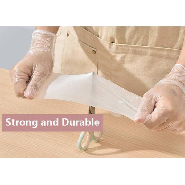 Предохранение от качества еды медицинского устранимого порошка перчаток латекса прозрачного эластичного свободное