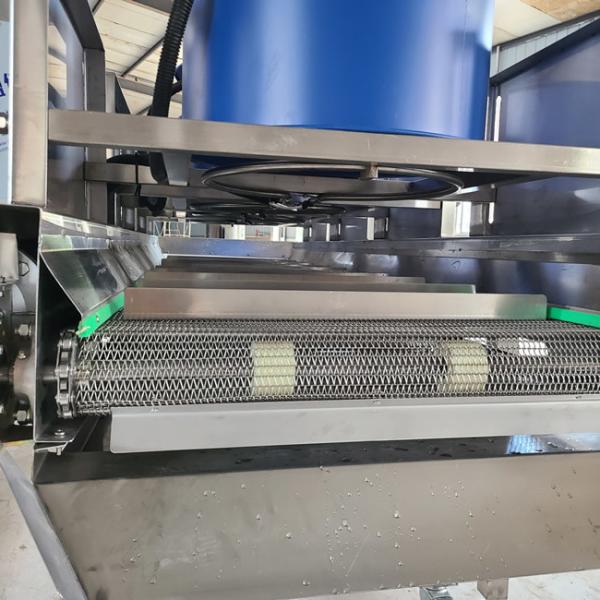 Регулируемая машина для переработки абрикосов и сухих фруктов 600 кг/ч 500 кг