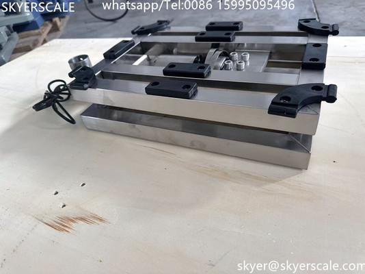 SKYERSCALE  30x40cm Platform Scale 60kg 304 Stainless Steel Platform Industrial Bench Scale