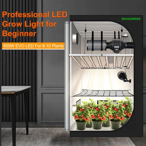 BAVAGREEN 800W Samsung LM301H EVO Commercial Plant Lamp Full Spectrum UV IR LED Grow Light for Horticulture Greenhouse