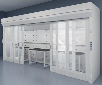 Desktop Laboratory Fume Hood Walk In Ducted Fume Hood Science Work Bench