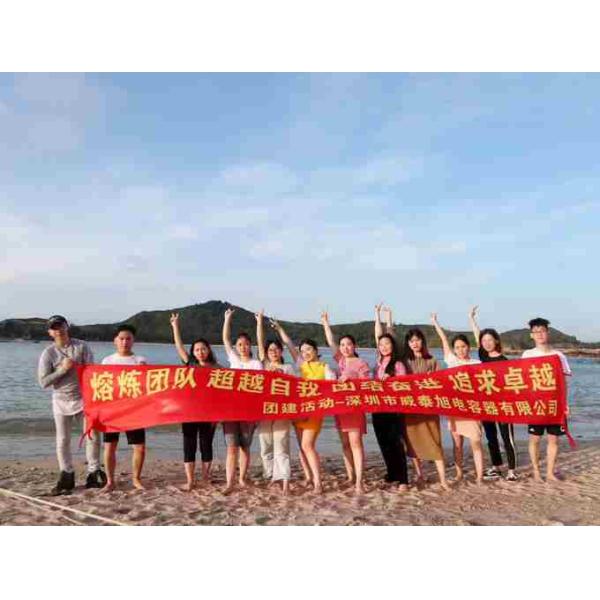 Shenzhen Weitaixu Capacitor Co.,Ltd