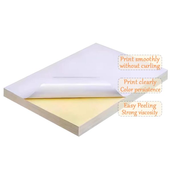 Glossy Cast Coated Jumbo Roll A4 Shipping Labels Adhesive Paper & Film Stock