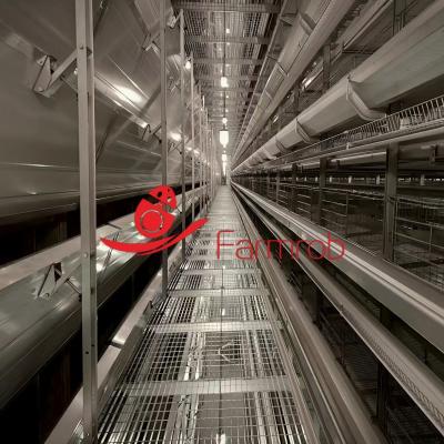 Precision Environmental Management Layer Chicken Cage System Smart Coop