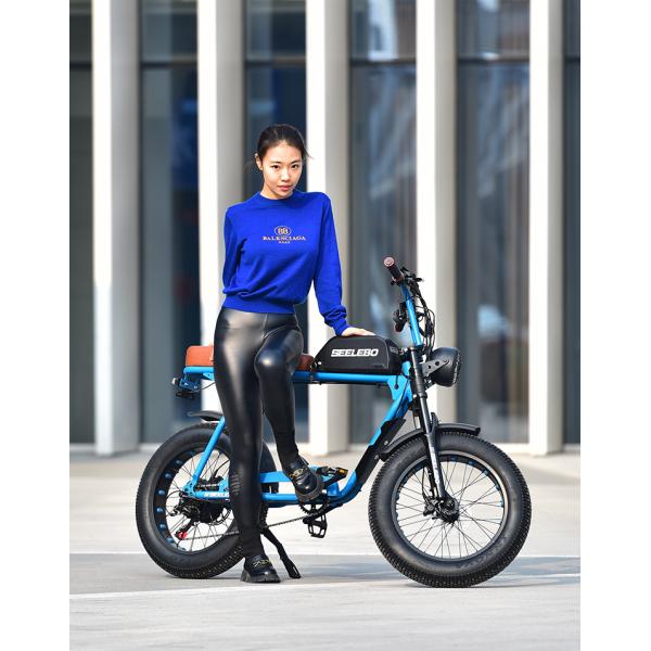 Digital Ebike Hub Motors Bicycle Electric Fat Tire Bike 7speed MTB E-bike Retro Electric Cycle 48V 500W 4.0 Inch Tire E Bike