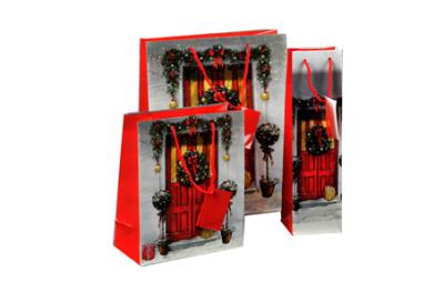 Chirstmas gift bag 02