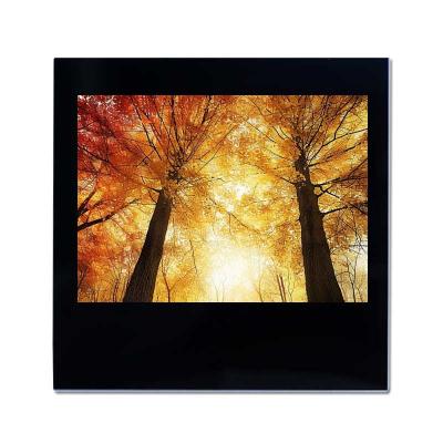 3.5 inch Custom Touch Screen LCD Display 500 Nits High Brightness LCD Touch Panel