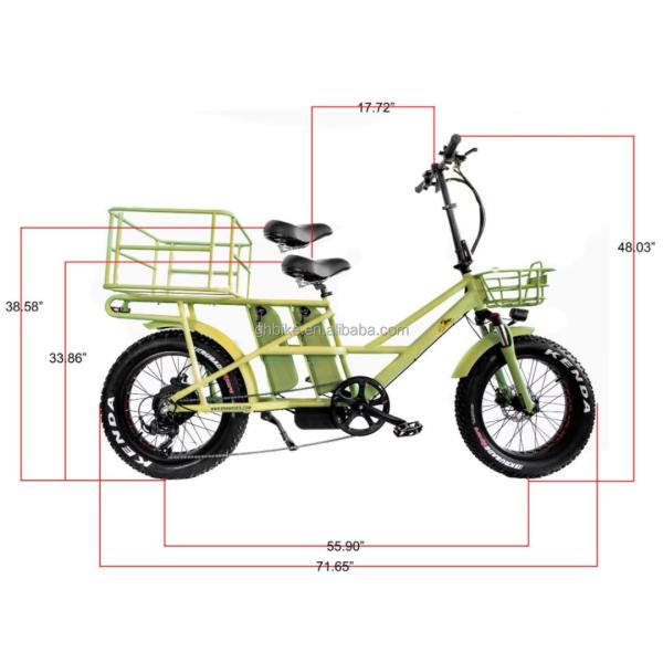 48V Electric Dual Motor 1000 Watt Long Range Fat Tire Cargo E-Bike with Fast Charging