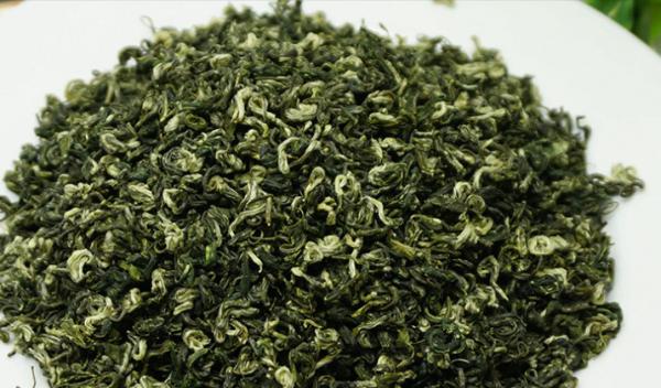 Green tea leaves before Ming biluochun pekoe multi - flavor fresh aroma foot