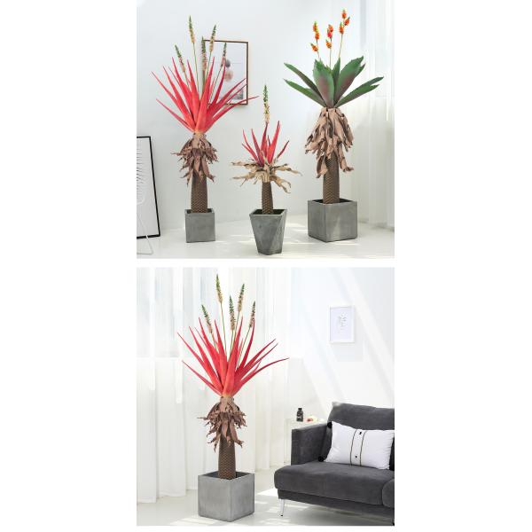 Thick Leaves Artificial Potted Flower Aloe Indoor Decor Realistic Appearance Plant