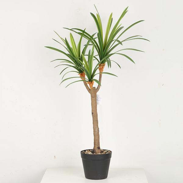 Flexible Glue Faux Dracaena Plant Black Plastic Pot 45 CM 62 CM 82 CM