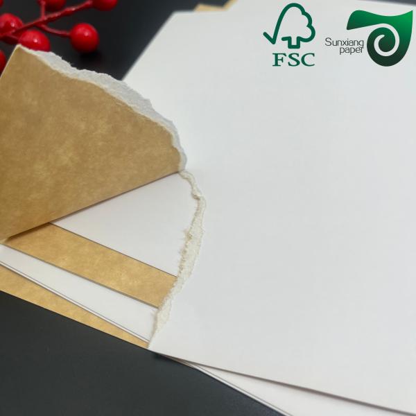 175gsm 200gsm White Top Liner Paper For Tissue Converting White Kraft Liner Paper FSC