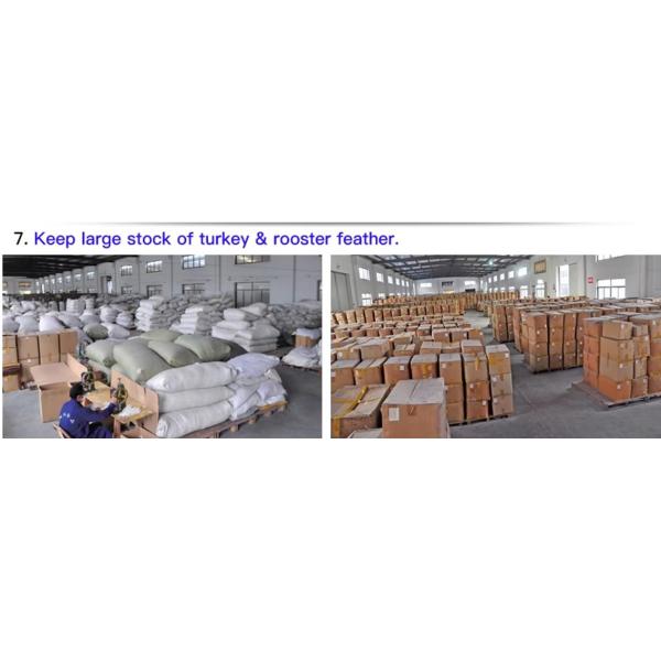 Guangdong Hongfa Import & Export Co., Ltd.