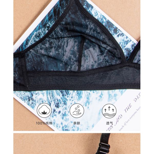 Transparent Mesh Erotic Bra Wholesale Price Xs-xxl Sizes Ladies Bra Underwear Hot Sexy Lace Wholesale Bra for Female