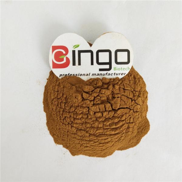 Factory Supply 4% Professional Herbalists Passionfiowe Herb/Passiflora coerulea L. Extract Powder for the health product