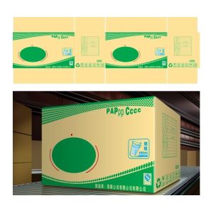 DongGuan HanS Packaging Technology Co., Ltd.
