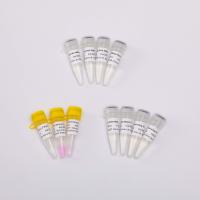 GDSBio uma mistura mestra da etapa QPCR