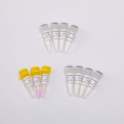 Mistura mestra do Rt QPCR da etapa V5001 um para o uso da pesquisa