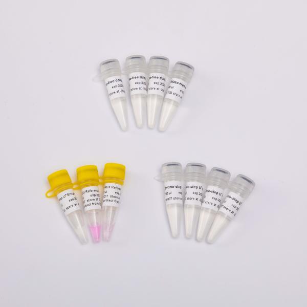 Mistura mestra do Rt QPCR da etapa V5001 um para o uso da pesquisa