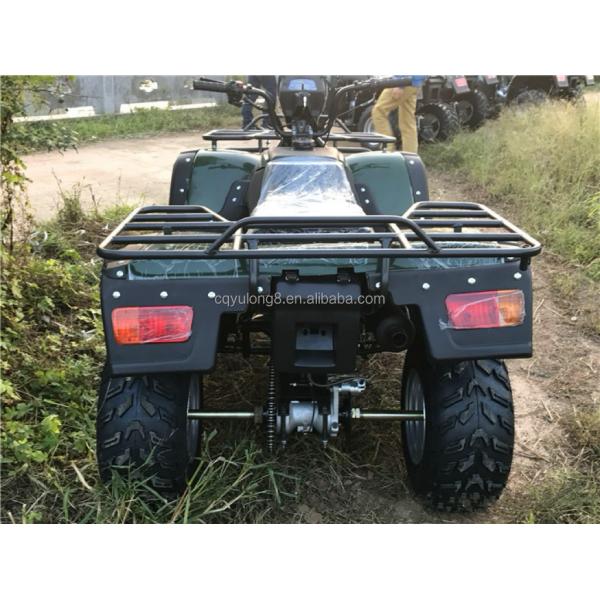 200cc 300cc 4x4 ATV UTV Off Road Four Wheeler Side by Sides Grade Ability Quad Bike