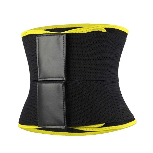 Faixa suada estômago desossada de aço do exercício de Tummy Reducer Belt do instrutor da cintura 4