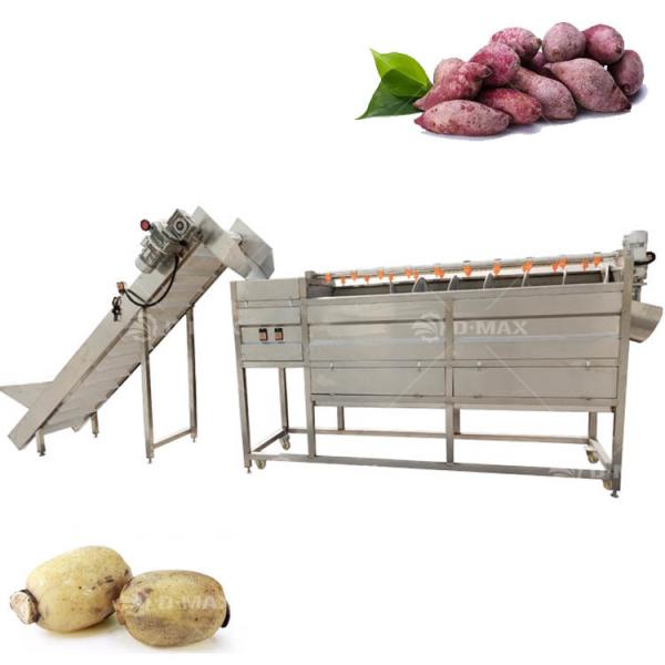 Ginger Sweet Potato Cleaner for Speed Adjustable Vegetable Cleaning and Drying Line
