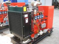 O gerador sem escova do gás natural do acetileno, 10kw à água 100kw refrigerou o gerador do gás