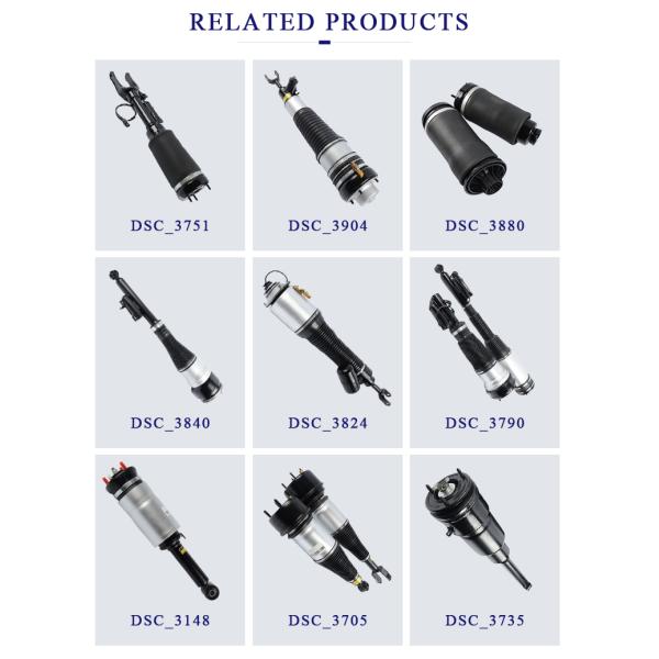 Подвес воздуха Мерседес-бенз А2303204538 А2303203113 разделяет автоматический задний воздушный демпфер для В230 Р230 СЛ - класса