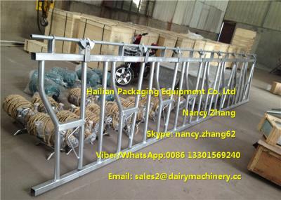 Large Farm Equipment Dairy Cows Cattle Head Lock Locking And Feeding