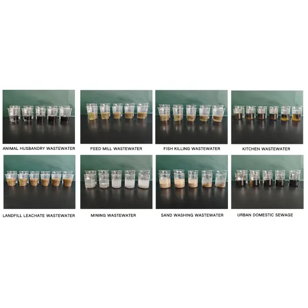 100% Purity Cationic Polyacrylamide Flocculant CPAM CAS 9003-05-8