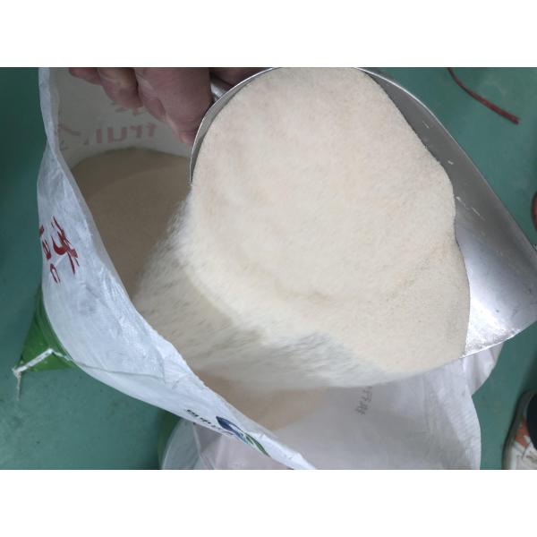 Con bajo contenido de grasa Konjac Glucomanano en polvo Suplemento nutricional Gel natural para beneficios dietéticos y de belleza