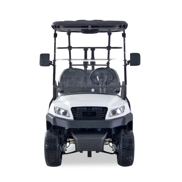 Electric Golf Buggy 2 Passenger with Intelligent Onboard Charger