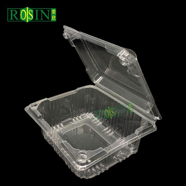 Rectangle Clear PET Disposable Clamshell Food Container Plastic Takeaway Box with Lid for Fruit