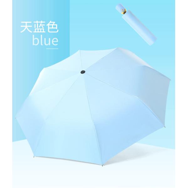 Colorful Design Pongee Fully Automatic Open and Close umbrella Perfect for Your Market