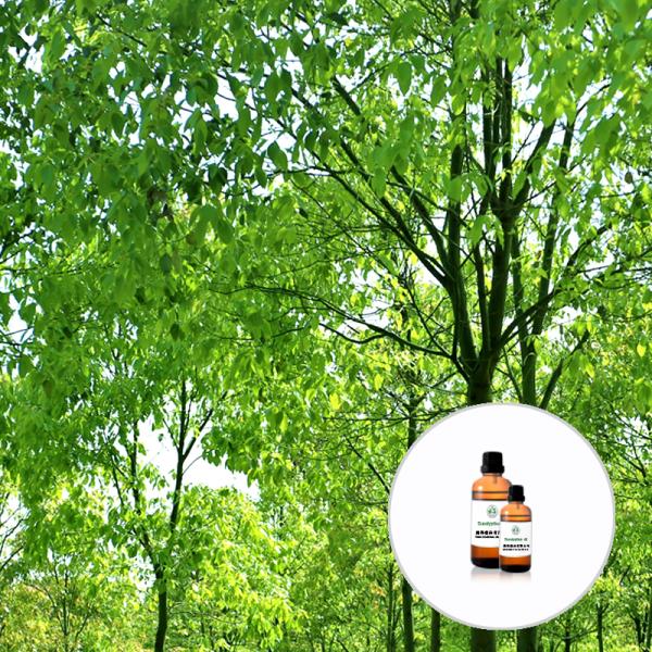 Cas 115 95 7 Wholesale Price Pure Natural Linalyl Acetate 99% Purity Colorless Liquid