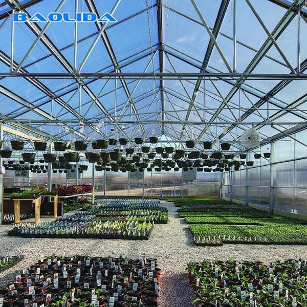 Готический тип структура Venlo парника аграрная стабилизированная легко собрал