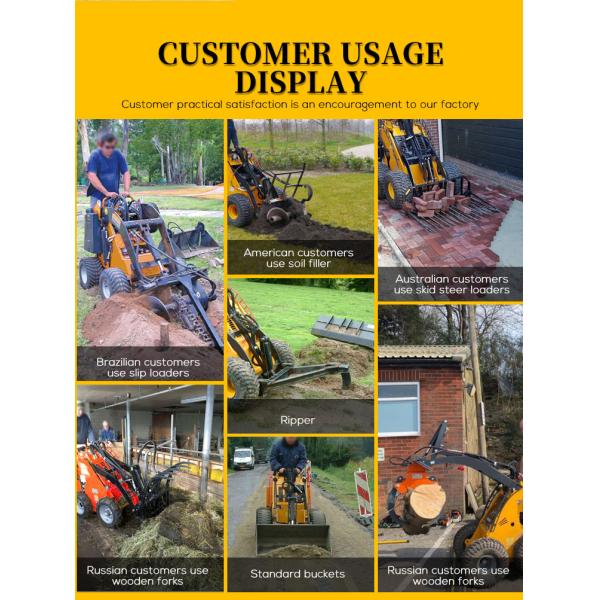 Factory Deal Cheapest Mini Loader  Skid Steer Loader Ready To Ship Worldwide