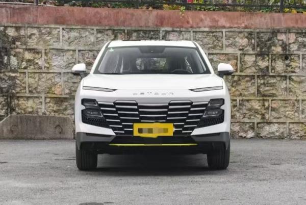 Jetour SUV Low Mileage SUV Automatic Transmission 2025year Family And Commercial Use